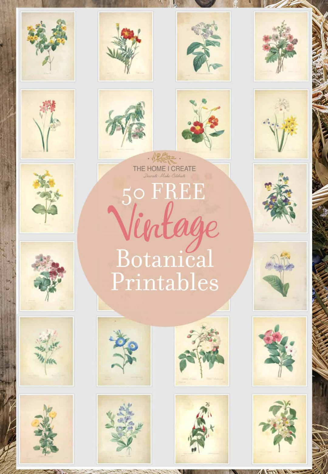 Beautiful Free Vintage Botanical Prints (Free Printable) - FREE Printables - Vintage Free Printable Wall Art