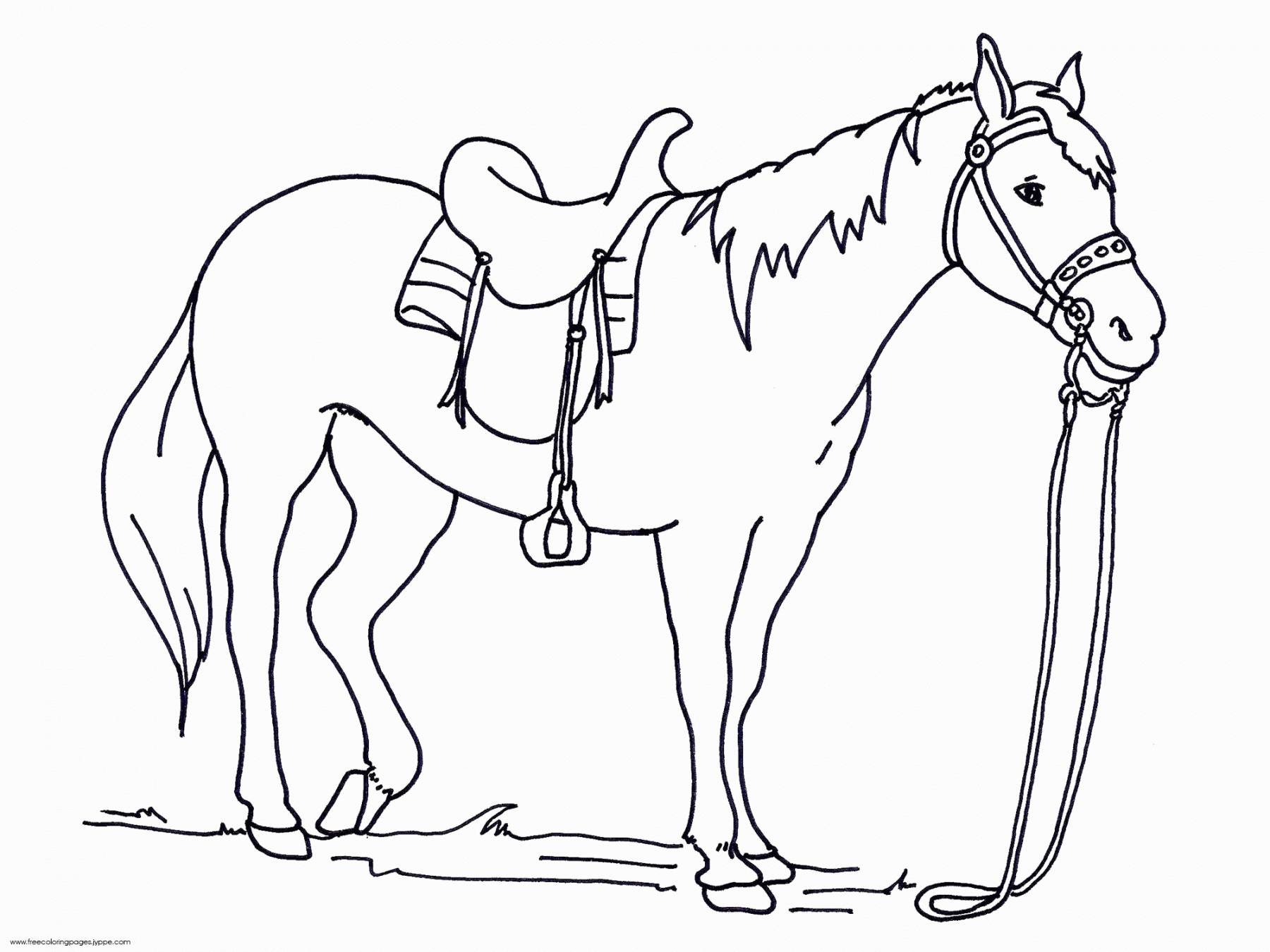 Big Printable Coloring Pages Horses - Coloring Pages For All Ages  - FREE Printables - Free Printable Horse Coloring Pages