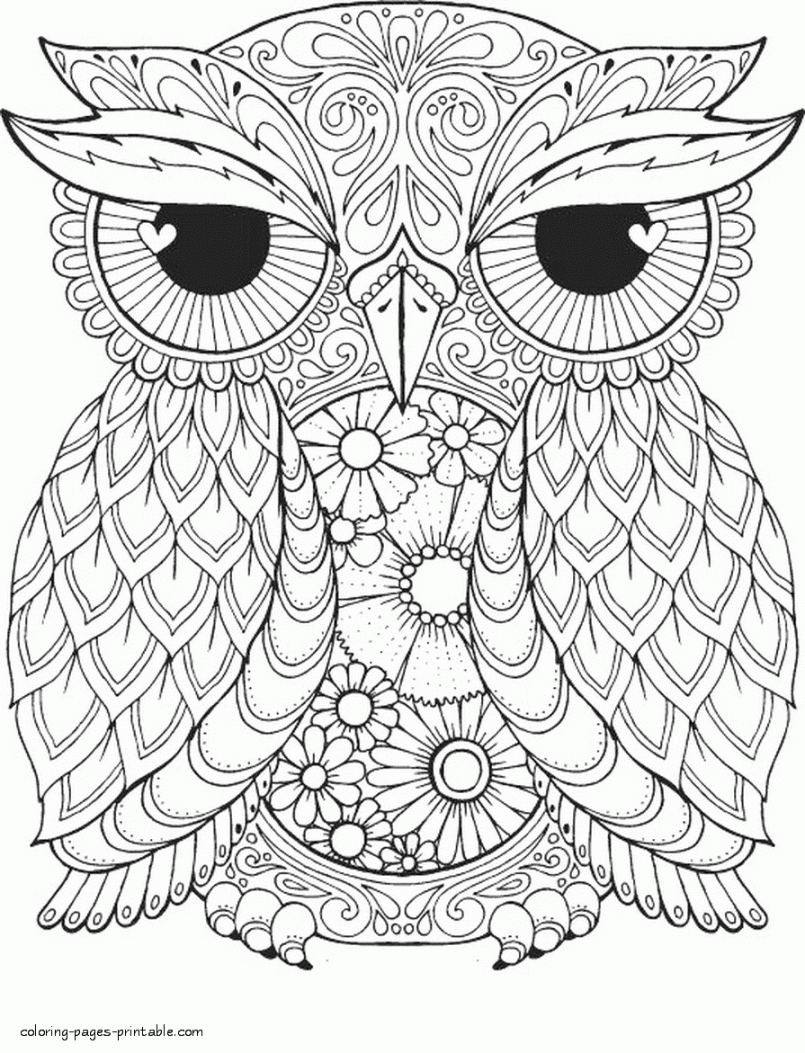 Bird Coloring Pages For Adults. An Owl  COLORING-PAGES-PRINTABLE - Free Printable Adult Coloring Pages Owl