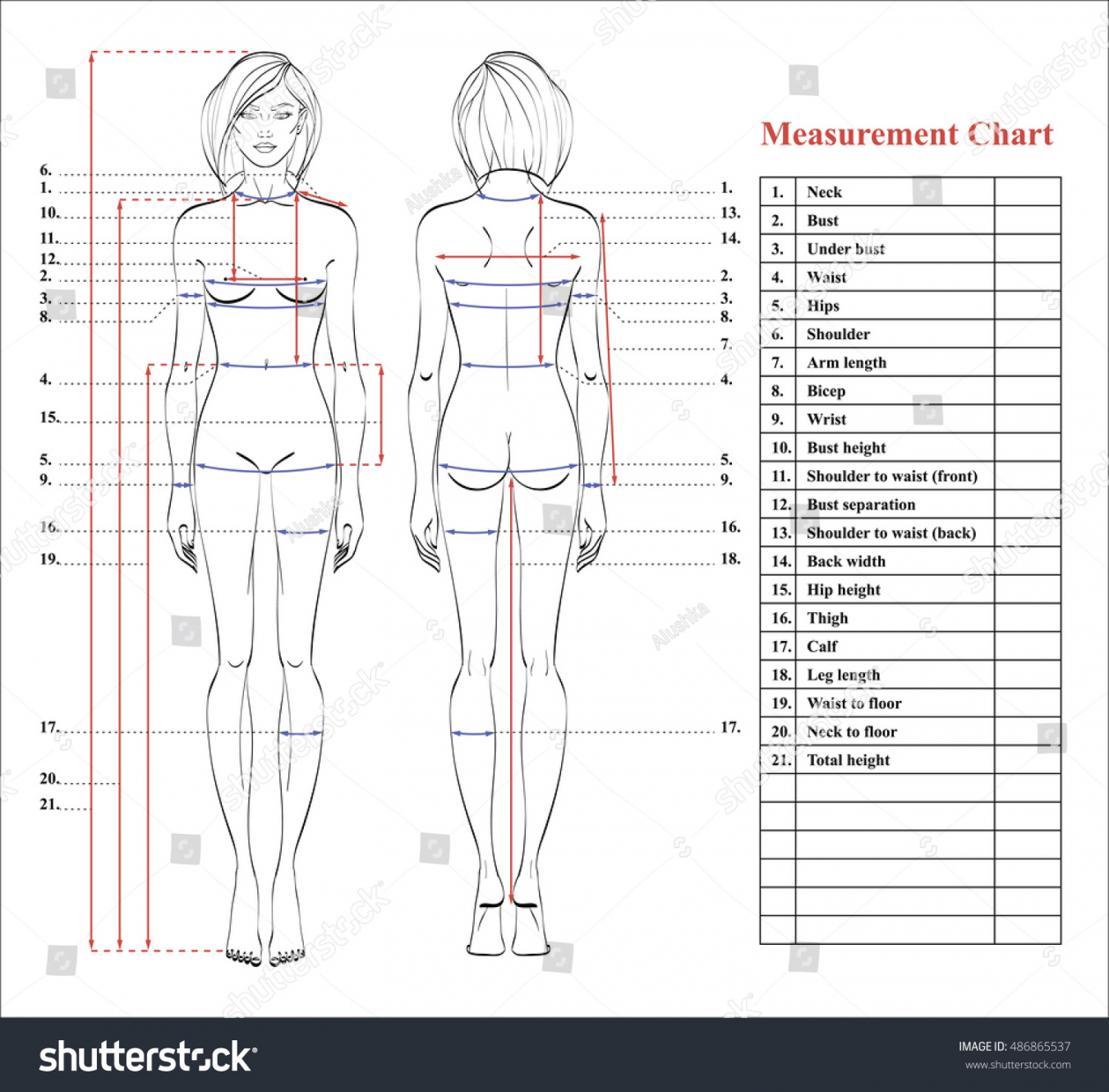 Body Measurement Chart Images: Browse , Stock Photos & Vectors  - FREE Printables - Free Printable Body Measurement Chart For Sewing