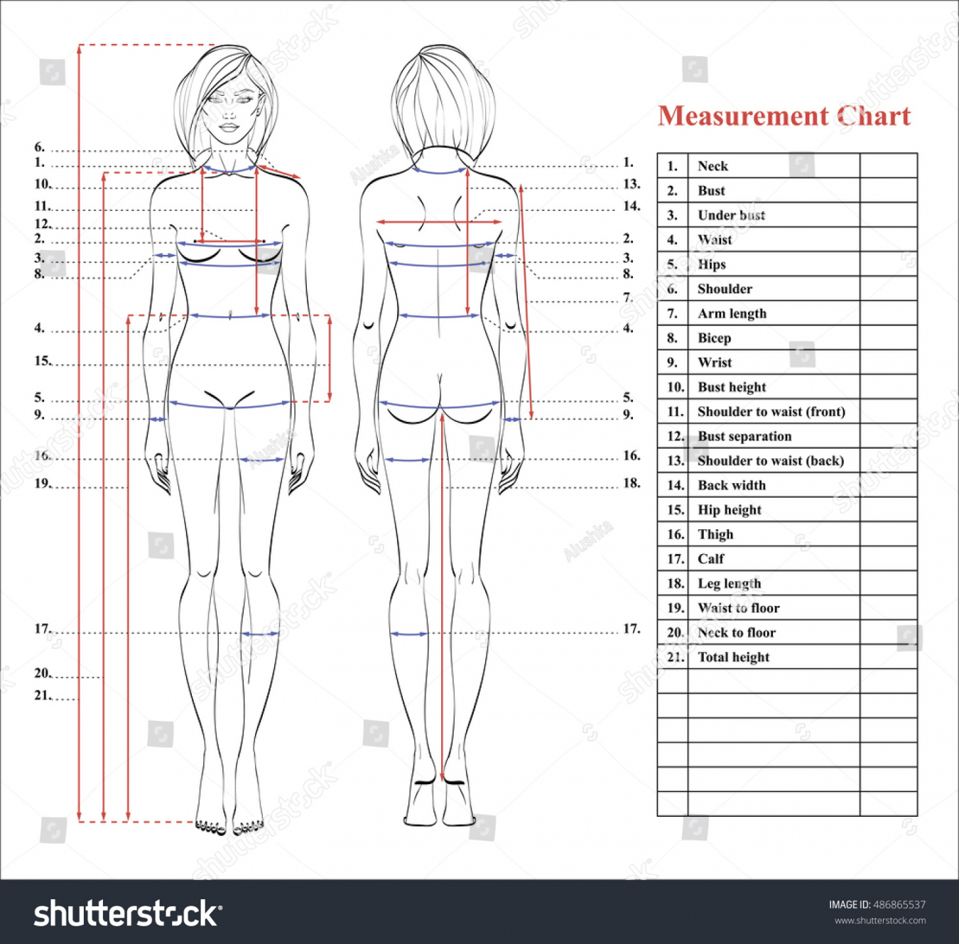 Body Measurement Chart Images: Browse , Stock Photos & Vectors - FREE Printables - Free Printable Body Measurement Chart For Sewing