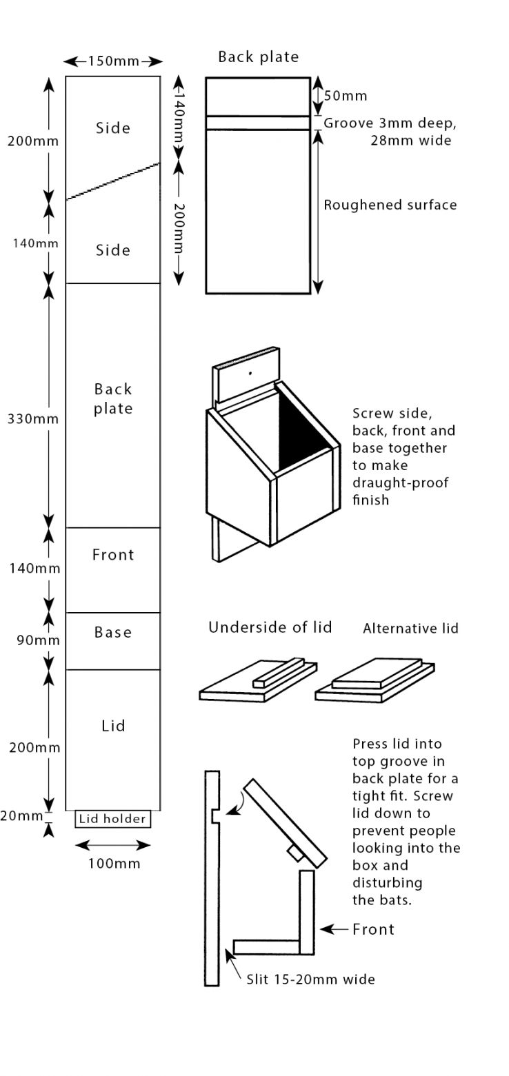 Build a bat box  The RSPB - FREE Printables - Free Printable Bat House Plans
