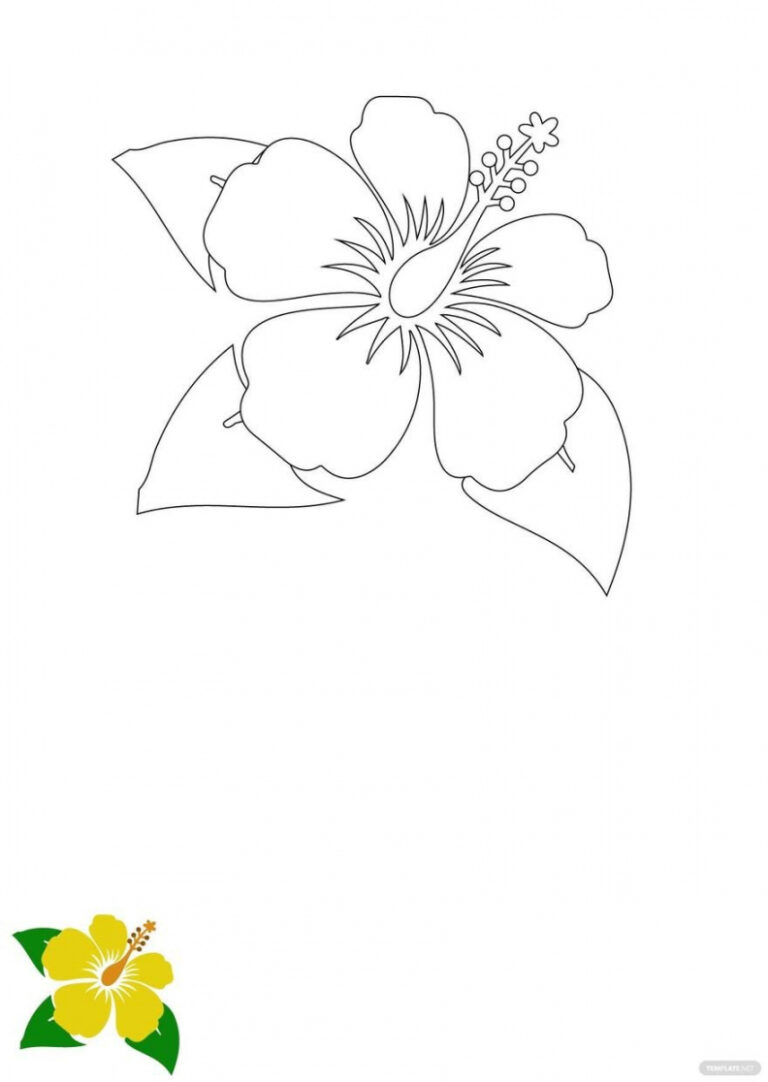 free-printable-hibiscus-flower-template-free-printable-hq