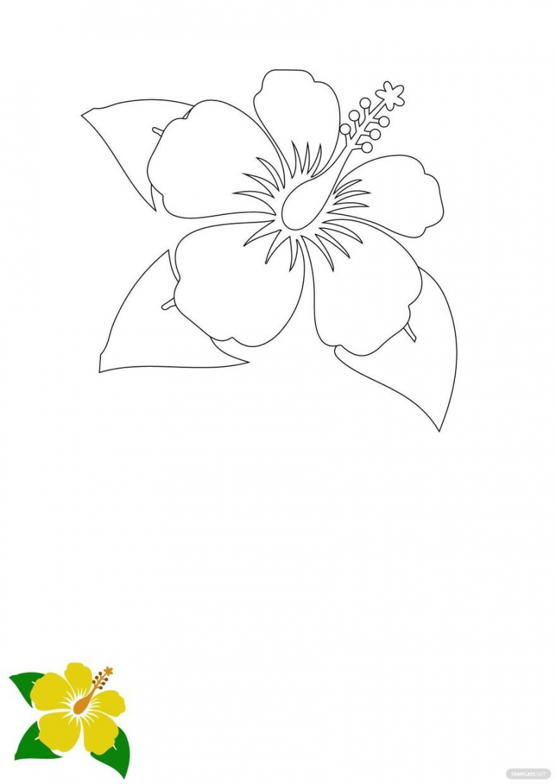 Free Hibiscus Flower Coloring Page - EPS, JPG, PDF  Template - Free Printable Hibiscus Flower Template