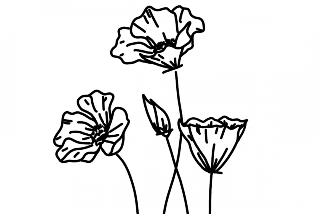 Free Poppy Pattern for Wood Burning — Wood Burn Corner - FREE Printables - Pyrography Patterns Free Printable Wood Burning Patterns