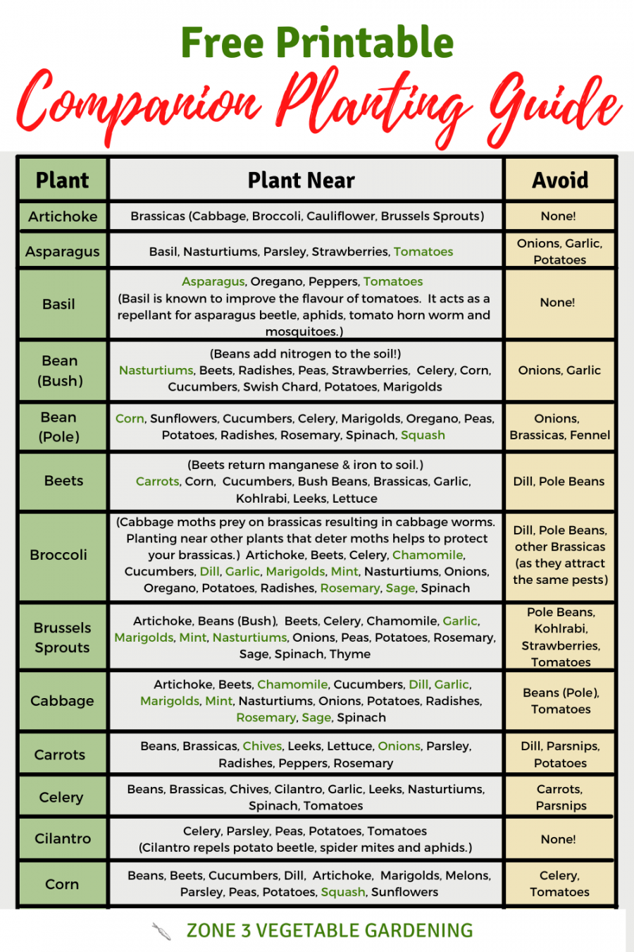 Free Printable Companion Planting Guide  Companion planting guide  - FREE Printables - Free Printable Printable Companion Planting Chart