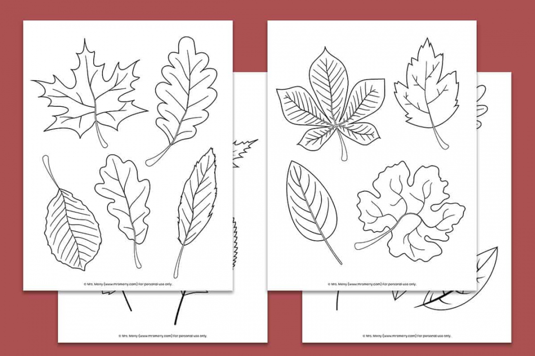 Free Printable Fall Leaves Coloring Pages  Mrs - Free Printable Fall Leaves