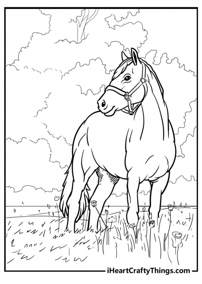 Horse Coloring Pages - % Free (Uploaded ) - FREE Printables - Free Printable Horse Coloring Pages