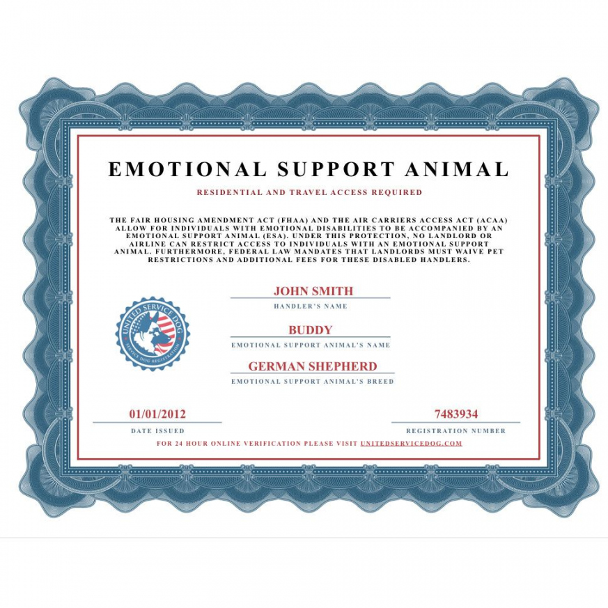 Pin on United Service Dog - FREE Printables - Free Printable Blank Emotional Support Animal Certificate