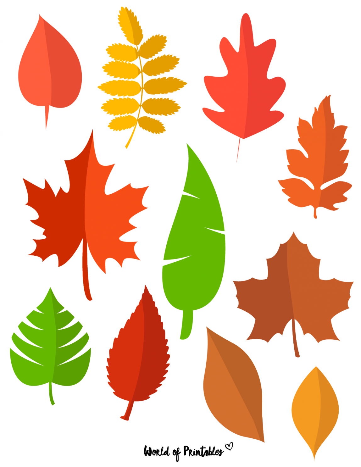 Printable Leaf Templates, Outlines & Shapes (Free) - World of  - FREE Printables - Free Printable Fall Leaves