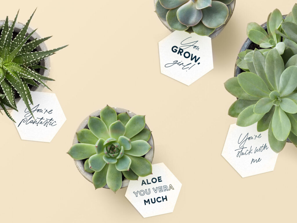 free printable succulent gift tags - FREE Printable HQ