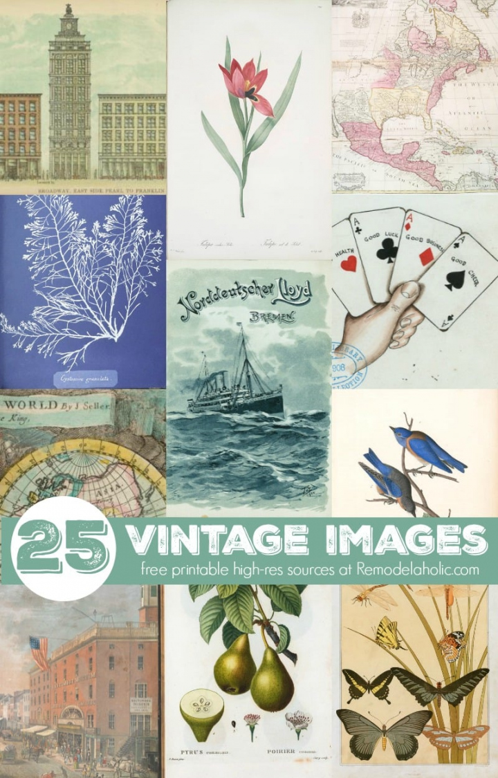 Remodelaholic  + Free Printable Vintage Images - FREE Printables - Free Printable Vintage Images