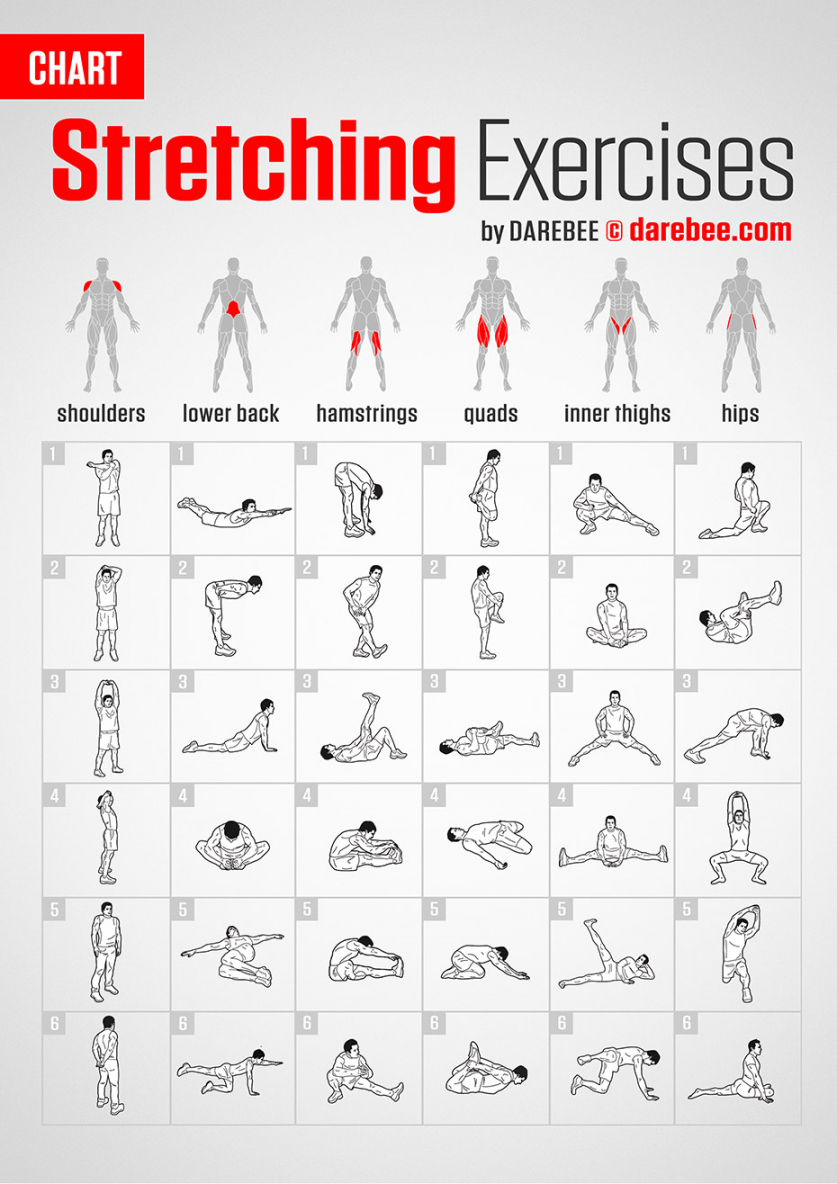 Stretching Exercises  Chart - FREE Printables - Free Printable Stretching Exercises