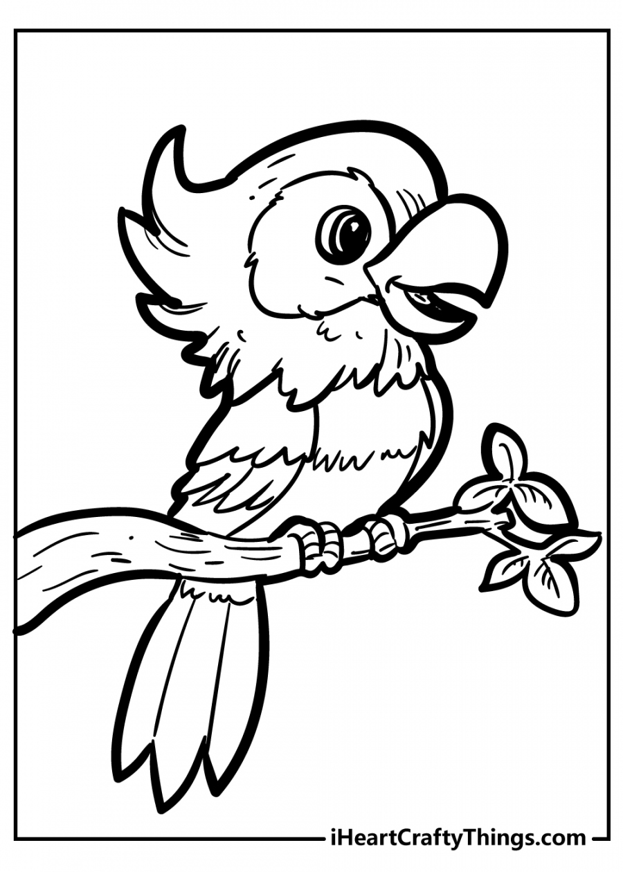 Unique Bird Coloring Pages (Updated ) - FREE Printables - Free Printable Bird Coloring Pages