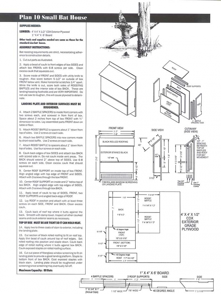 Easy Free Bat House Plans Printable Guide Printables For Everyone Easy Free Bat House Plans Printable Guide Printables For Everyone