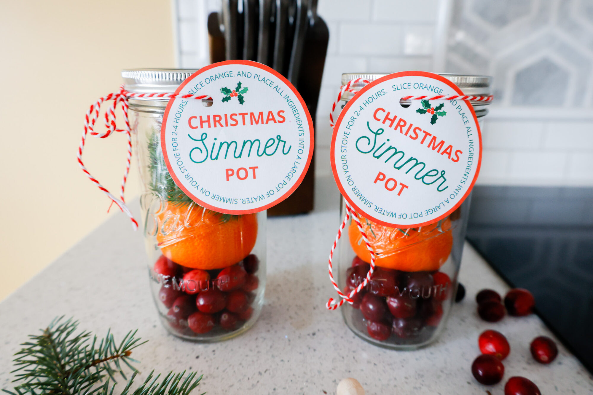 Christmas Simmer Pot Gifts &amp; Printable Gift Tags - Slay At Home Mother pertaining to Christmas Simmer Pot Printable