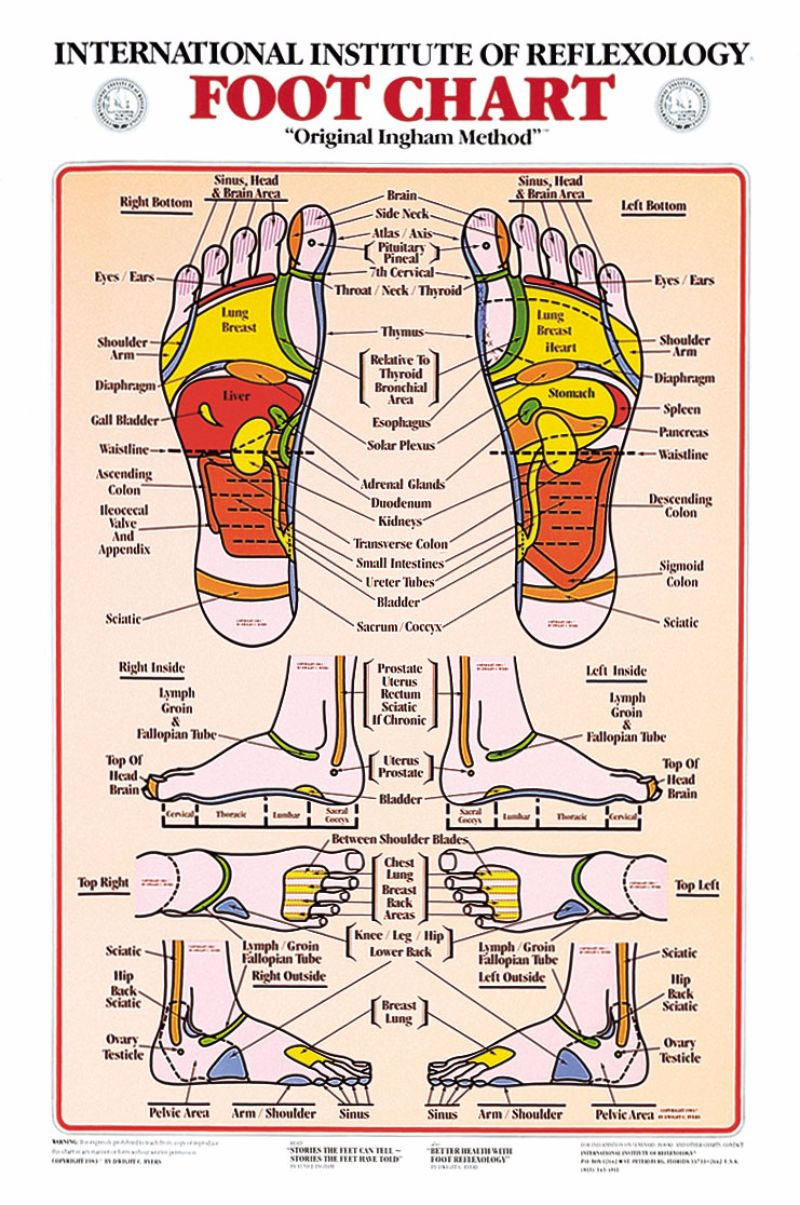 31 Printable Foot Reflexology Charts &amp;amp; Maps ᐅ Templatelab for Free Printable Reflexology Chart