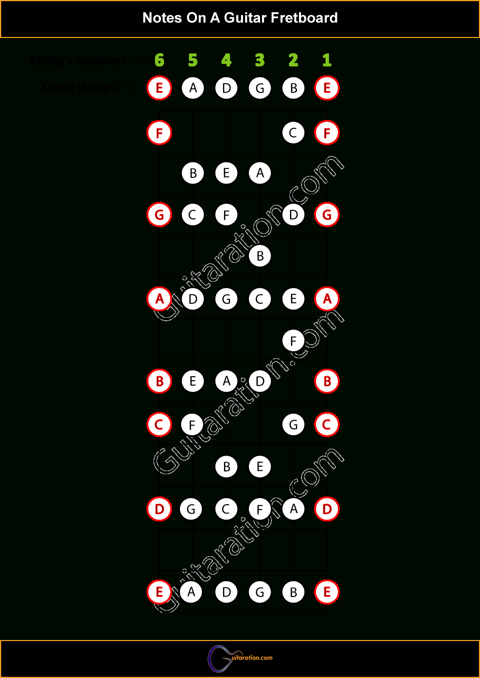 A Helpful Illustrated Guitar Fretboard Notes Guide! in Free Printable Guitar Fretboard Diagram