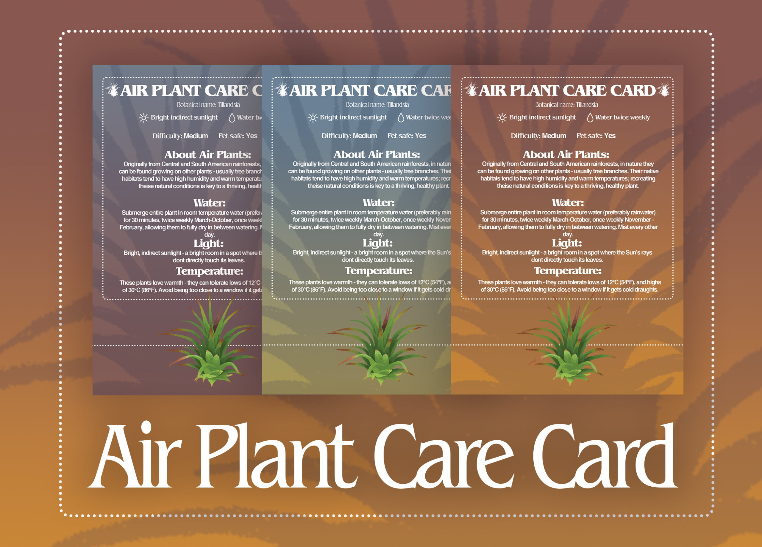 Air Plant Care Card, Digital Air Plant Care Label, Printable regarding Printable Air Plant Care Card