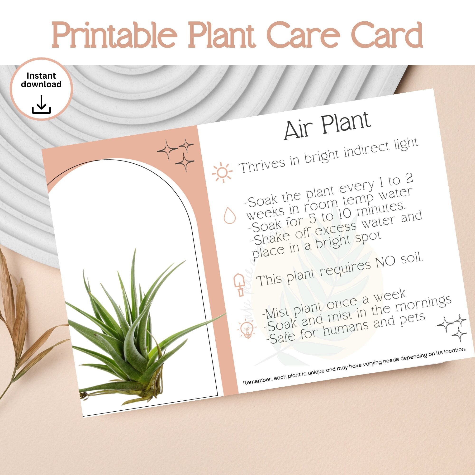 Air Plant Care Instruction Printable Instant Download Plant Care intended for Printable Air Plant Care Card