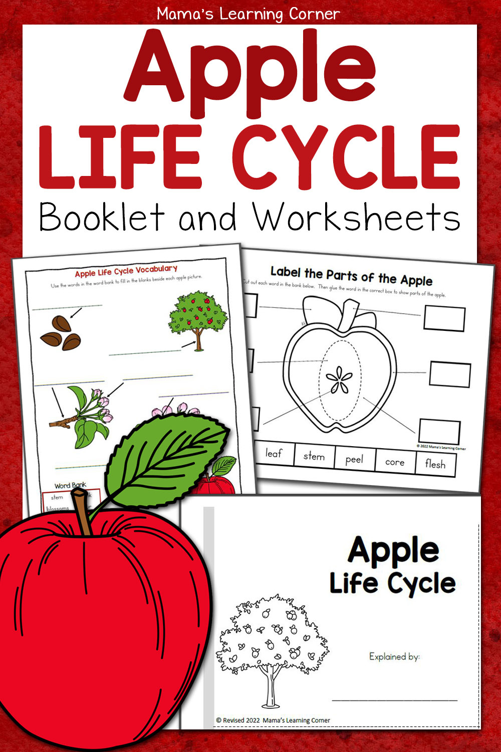 Apple Life Cycle Worksheets - Mamas Learning Corner inside Free Apple Life Cycle Printable