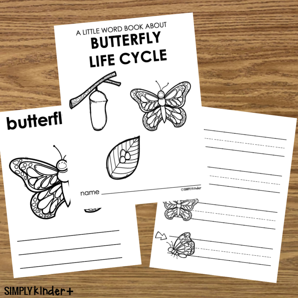 Butterfly Life Cycle Foldable Books - Word Bank Writing Center inside Butterfly Life Cycle Printable Book