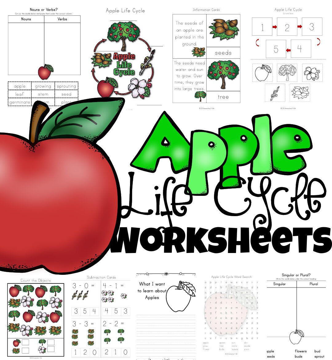 🍎 Free Apple Life Cycle Printable Worksheets in Free Apple Life Cycle Printable