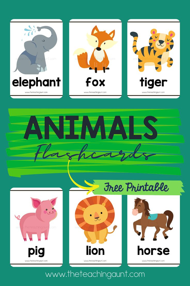 Free Animal Flashcards - The Teaching Aunt throughout Free Printable Animals Flashcards