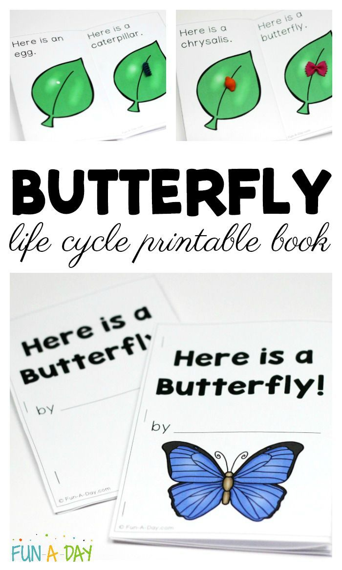 Free Butterfly Life Cycle Printable Book with Butterfly Life Cycle Printable Book