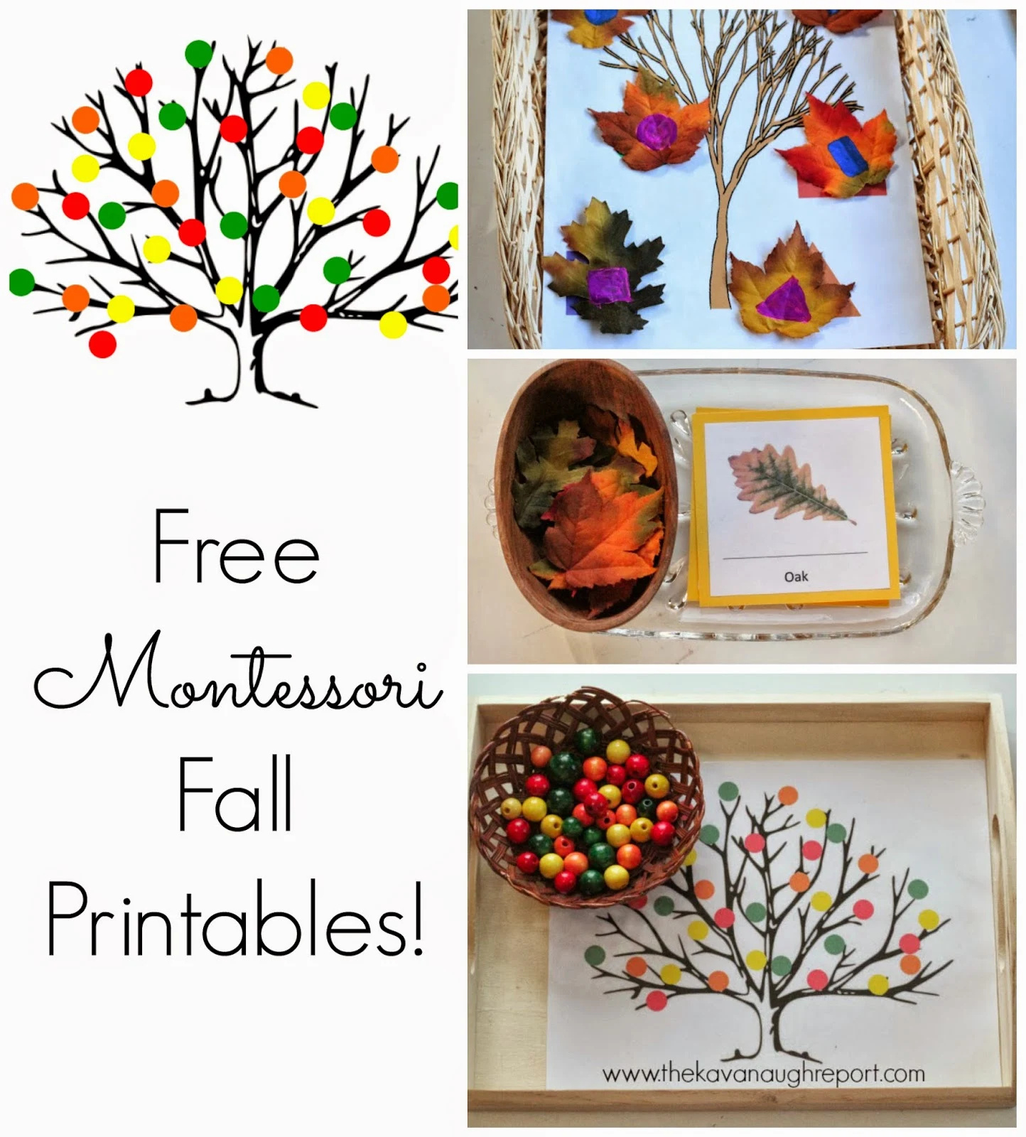 Free Montessori Inspired Fall Printables pertaining to Montessori Worksheet Free Printable