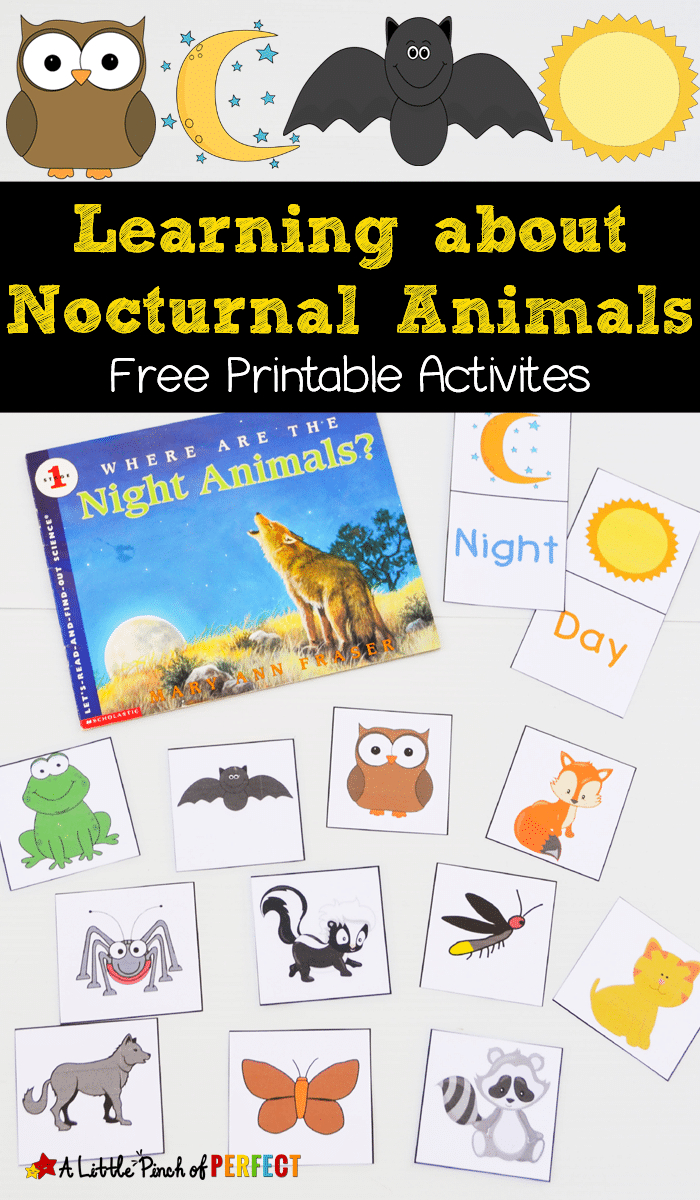 Free Nocturnal Animals Printables with Free Printable Nocturnal And Diurnal Animals Worksheets