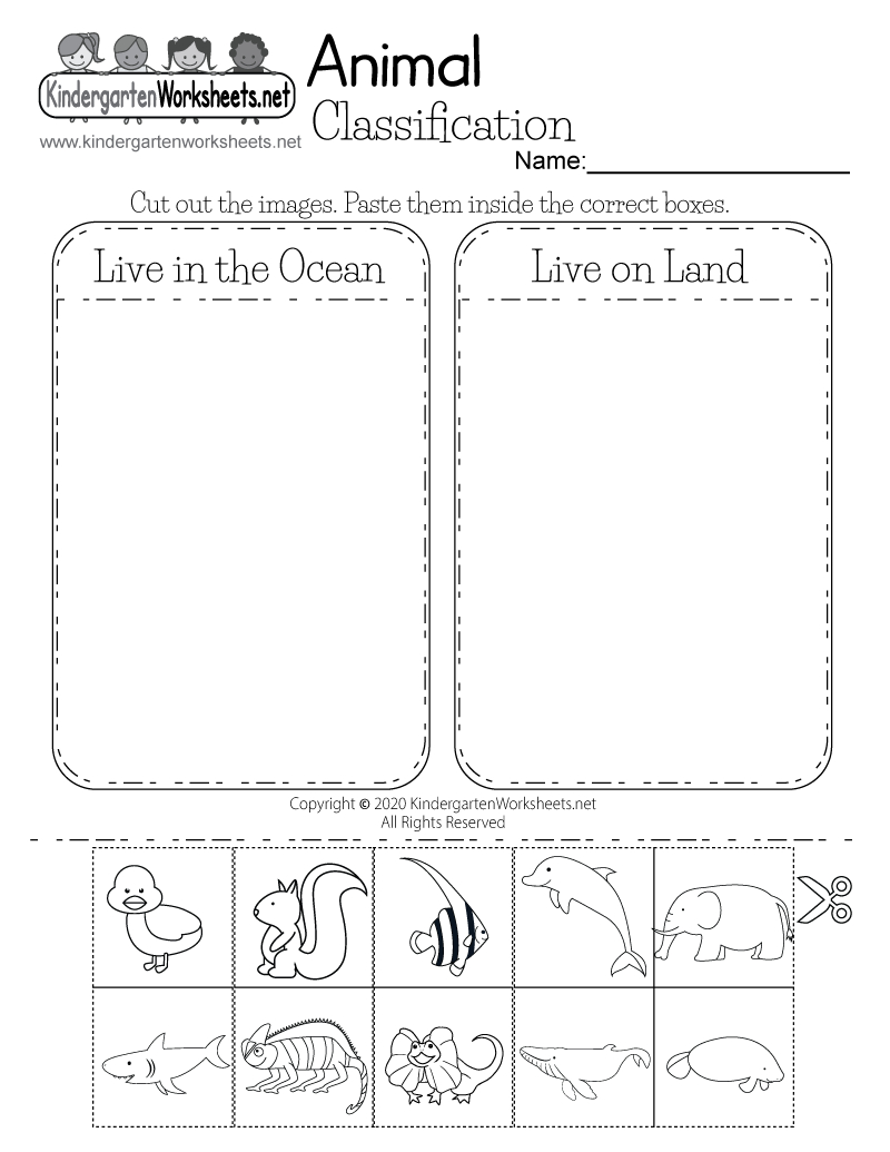 Free Printable Animal Classification Worksheet for Printable Main Categories Of Kindergarten Worksheets