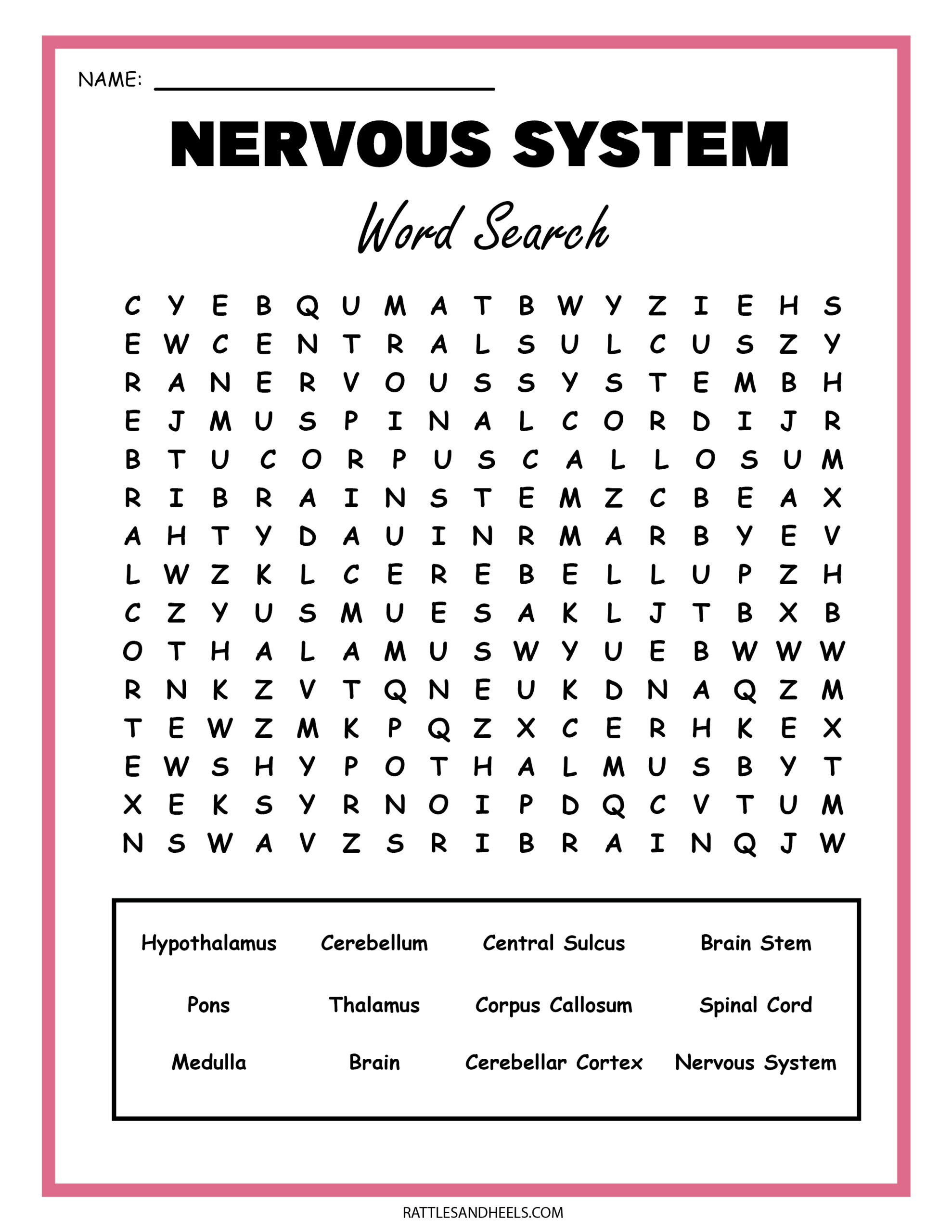 Free Science Worksheets| The Nervous System - Adanna Dill within Free Printable Nervous System Worksheets