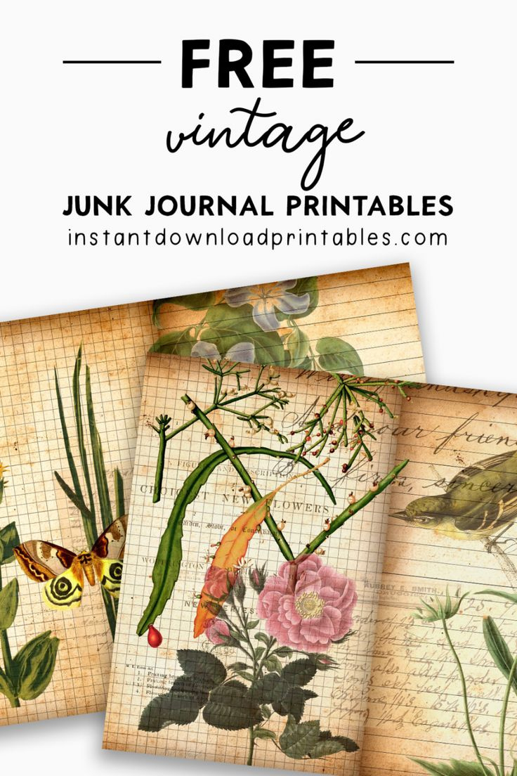 Free Vintage Junk Journal Nature Scrapbook Digital - Instant intended for Free Nature Journal Printables