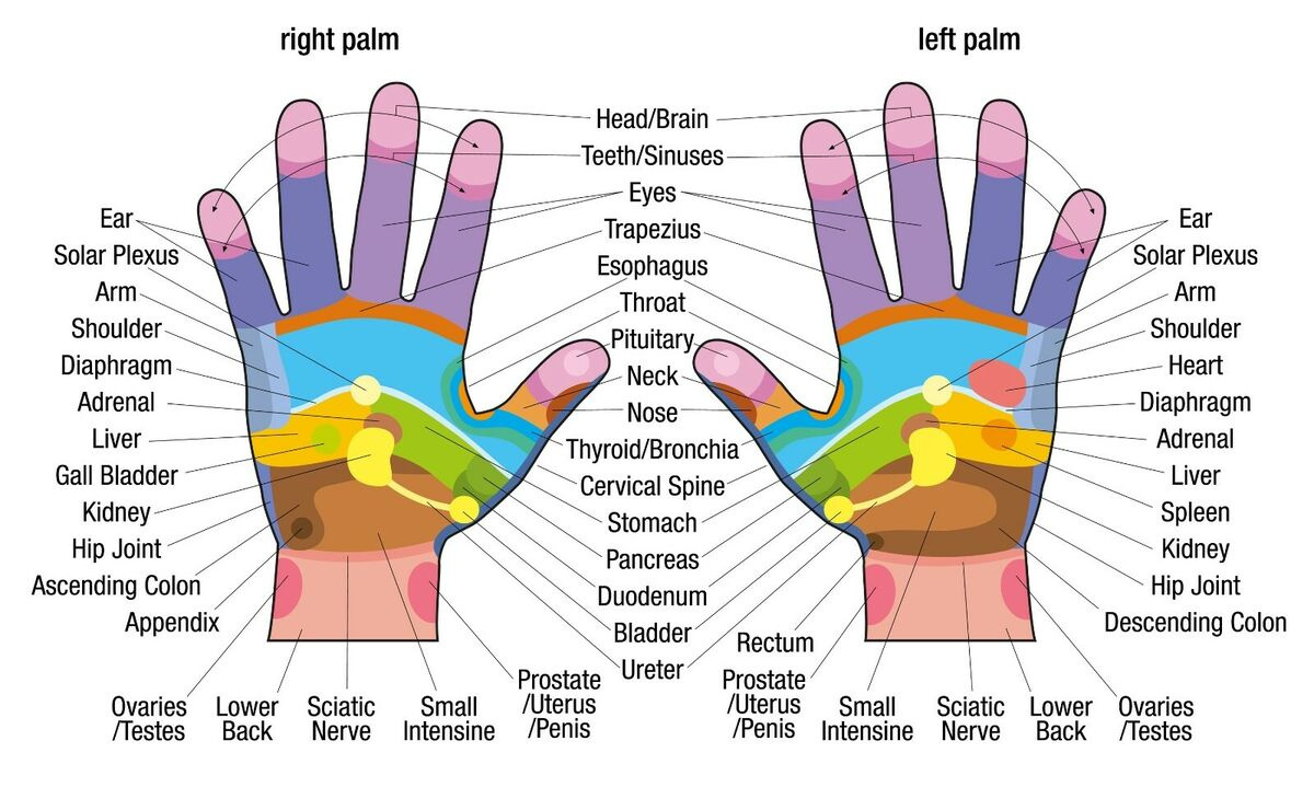 Hand Reflexology Chart Poster Print Choose Your Size Unframed. | Ebay throughout Free Printable Reflexology Chart