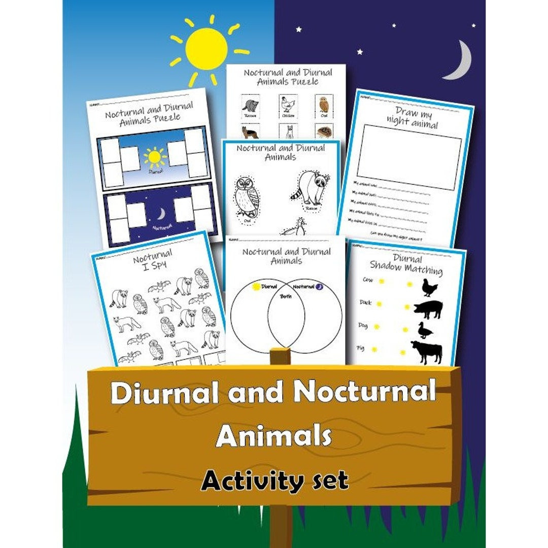 Nocturnal And Diurnal Animals Worksheet Set, Printable Lesson Plan,Printable Worksheet,Stem Lesson, Digital Download, Instant Download, Stem - Etsy with Free Printable Nocturnal and Diurnal Animals Worksheets