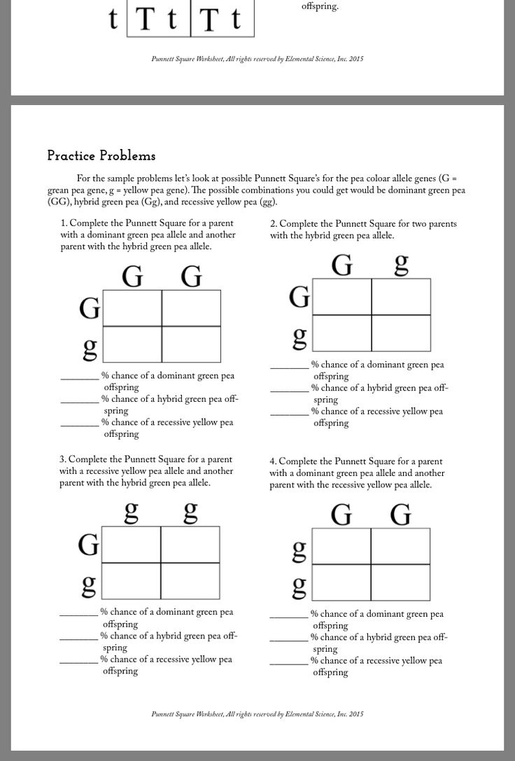 Pin Page inside Printable Punnett Square Practice Worksheet