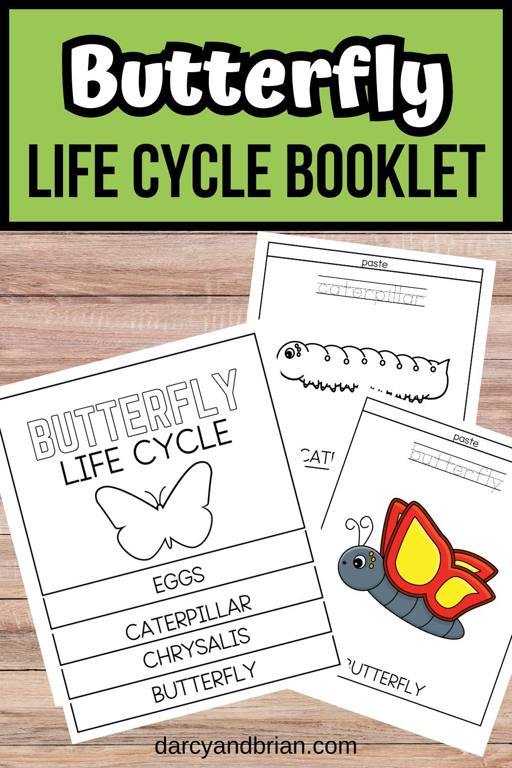 Printable Butterfly Life Cycle Booklet For Preschool Learning inside Butterfly Life Cycle Printable Book