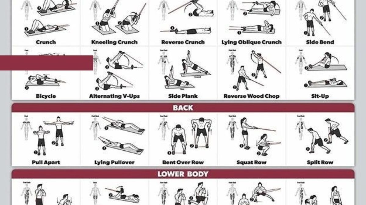 Printable Resistance Band Exercises For Over 50 throughout Free Printable Resistance Band Exercises For Seniors