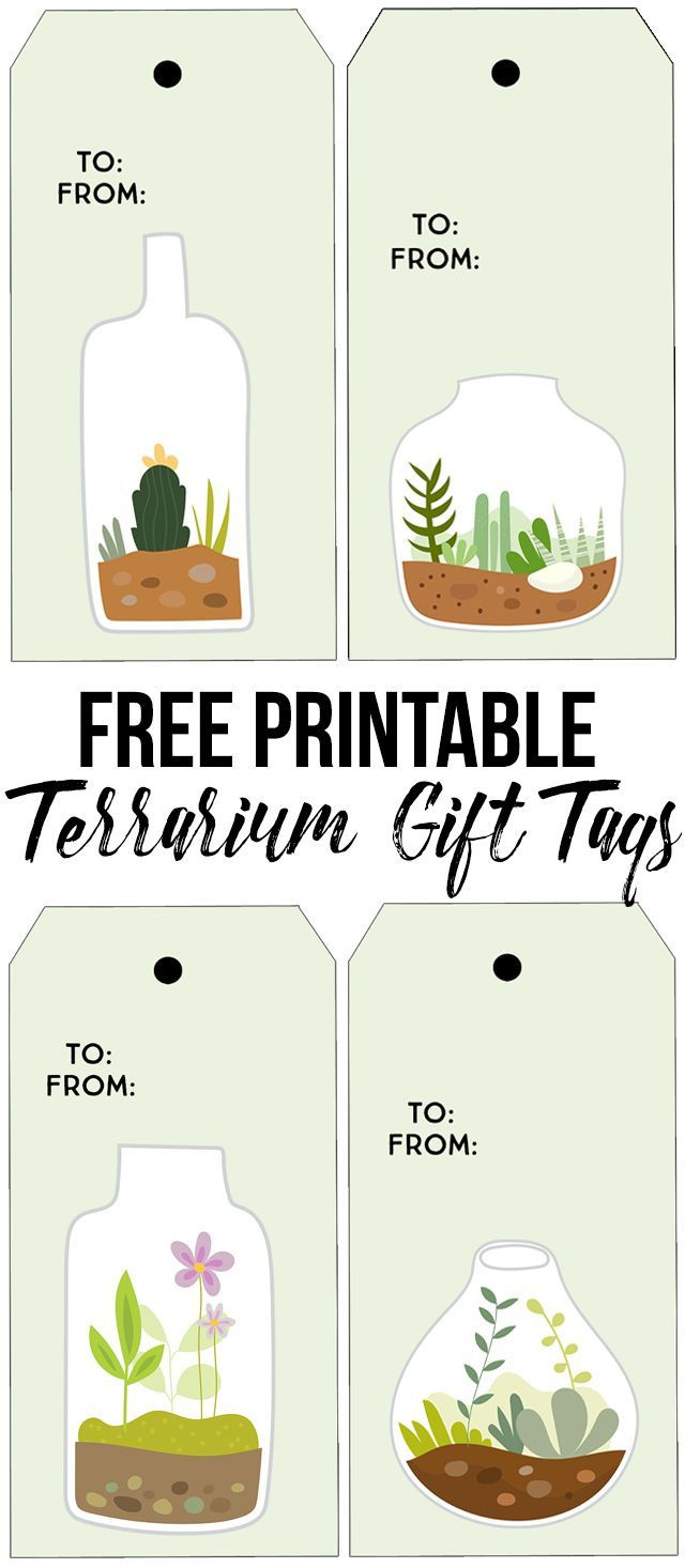 Printable Succulent Terrarium Gift Tags - Live Laugh Rowe in Free Printable Succulent Gift Tags