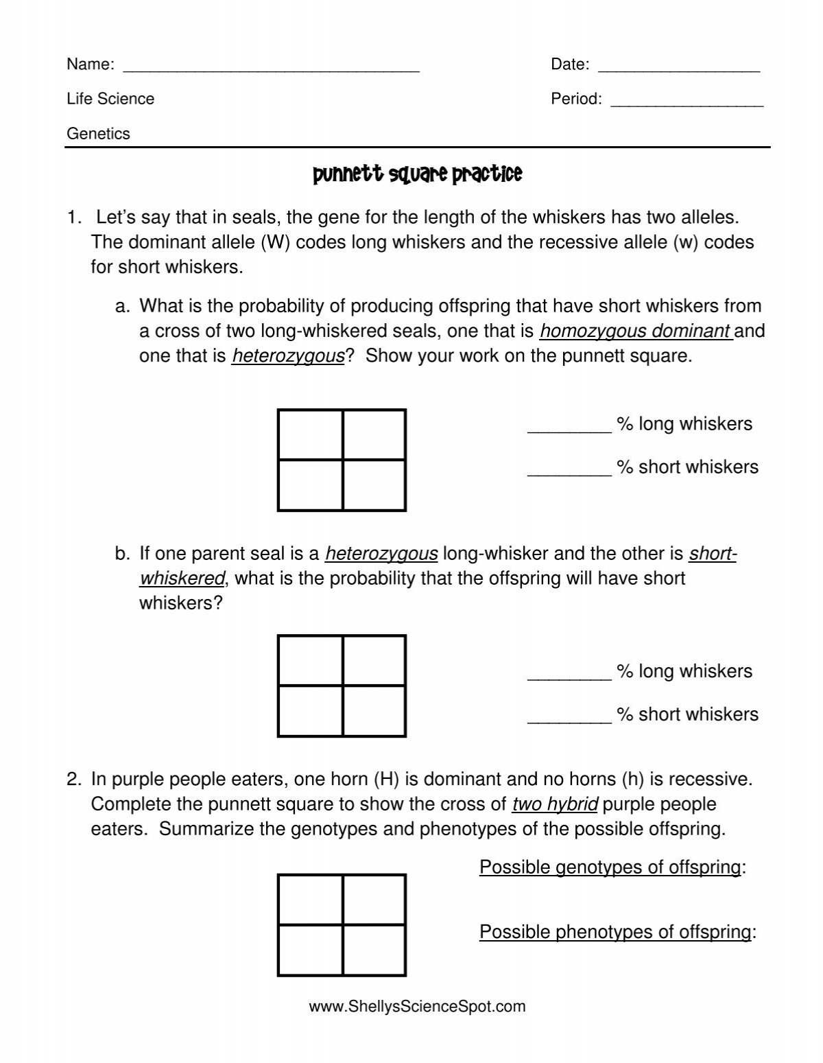 Punnett Square Practice inside Printable Punnett Square Practice Worksheet