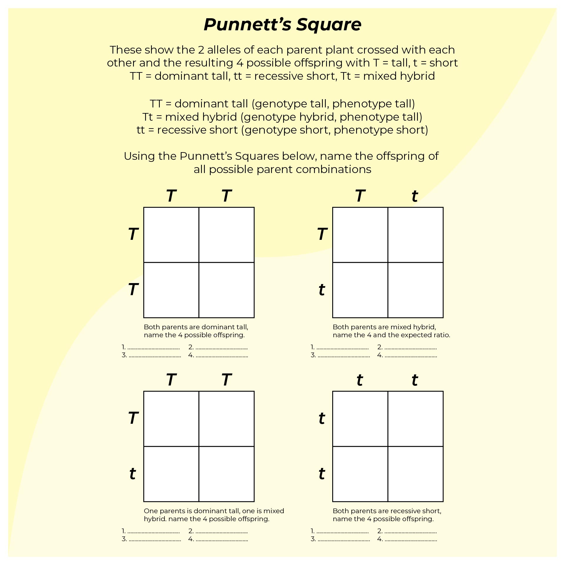 Punnett Square Worksheets - 10 Free Pdf Printables | Printablee with regard to Free Printable Punnett Square Worksheets