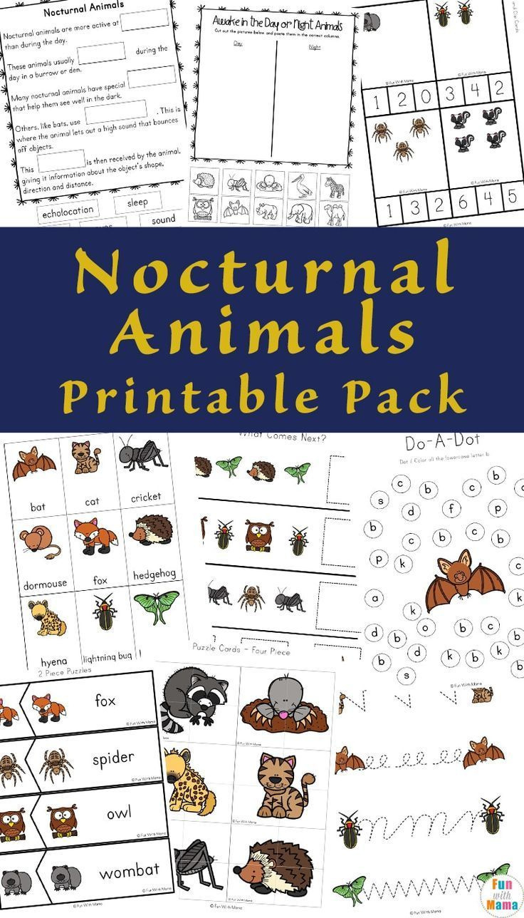 Your Kids Will Enjoy This Nocturnal Animals Printable Pack in Free Printable Nocturnal and Diurnal Animals Worksheets