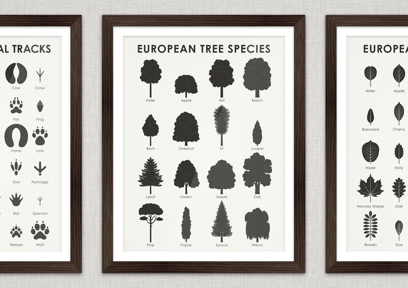 Art Prints | Identification Chart With Tree Shapes – Iris Luckhaus inside Shapes Identification Chart