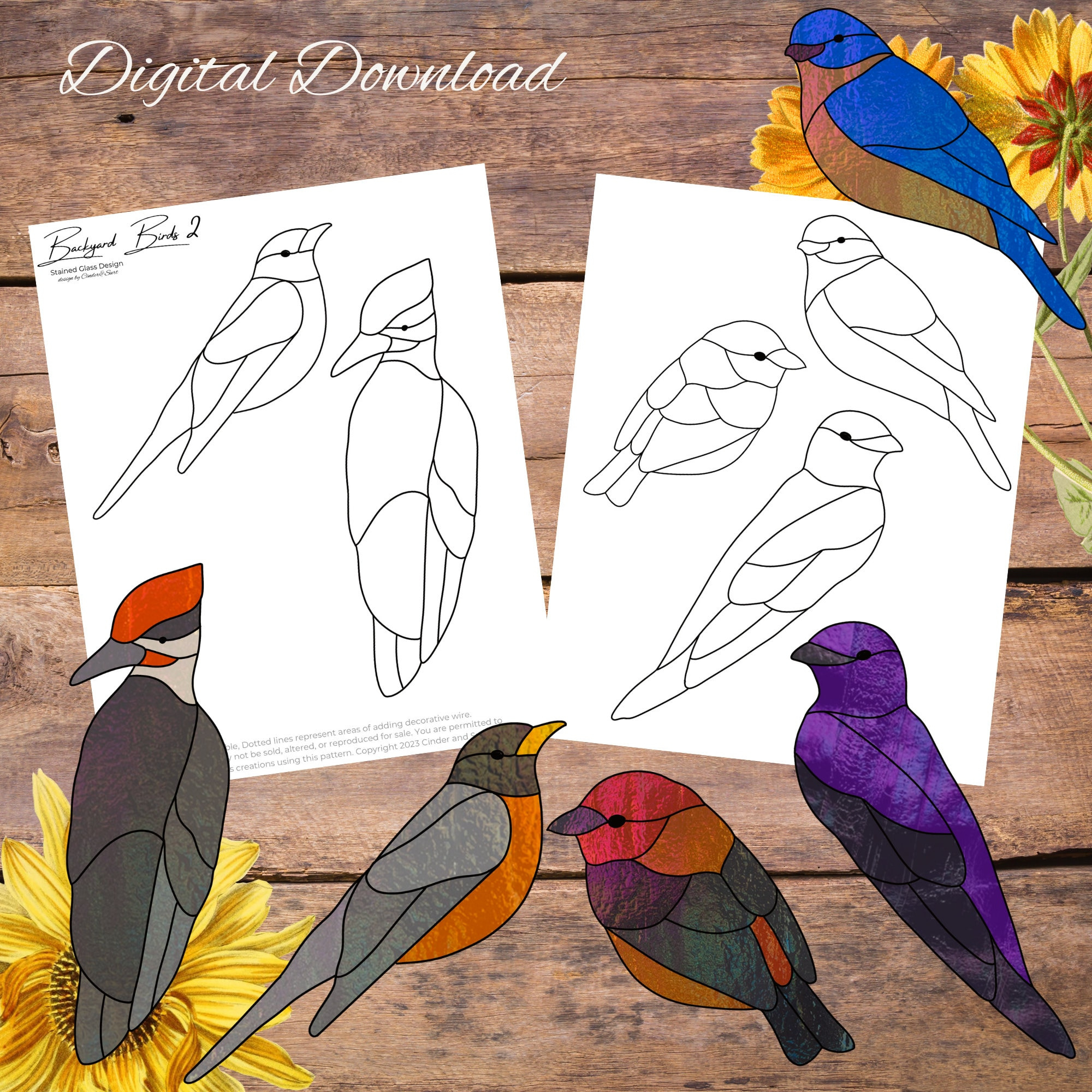 Backyard Birds 2, Simple Easy Bird Glass Suncatcher, Robin Bird with Printable Stained Glass Bird Patterns