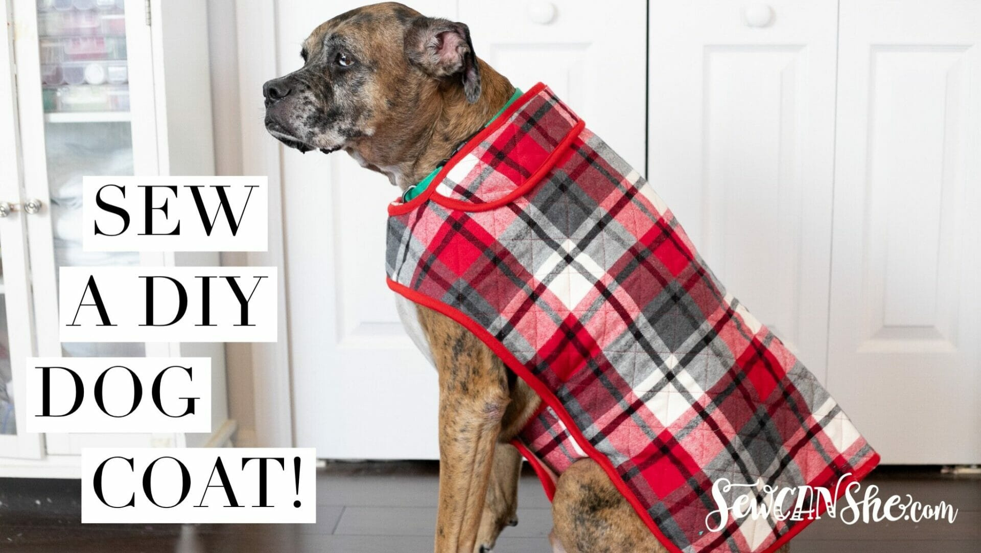 Diy Fur Baby Coat - How To Sew A Dog Coat regarding Downloadable Dog Coat Sewing Patterns Free Printable