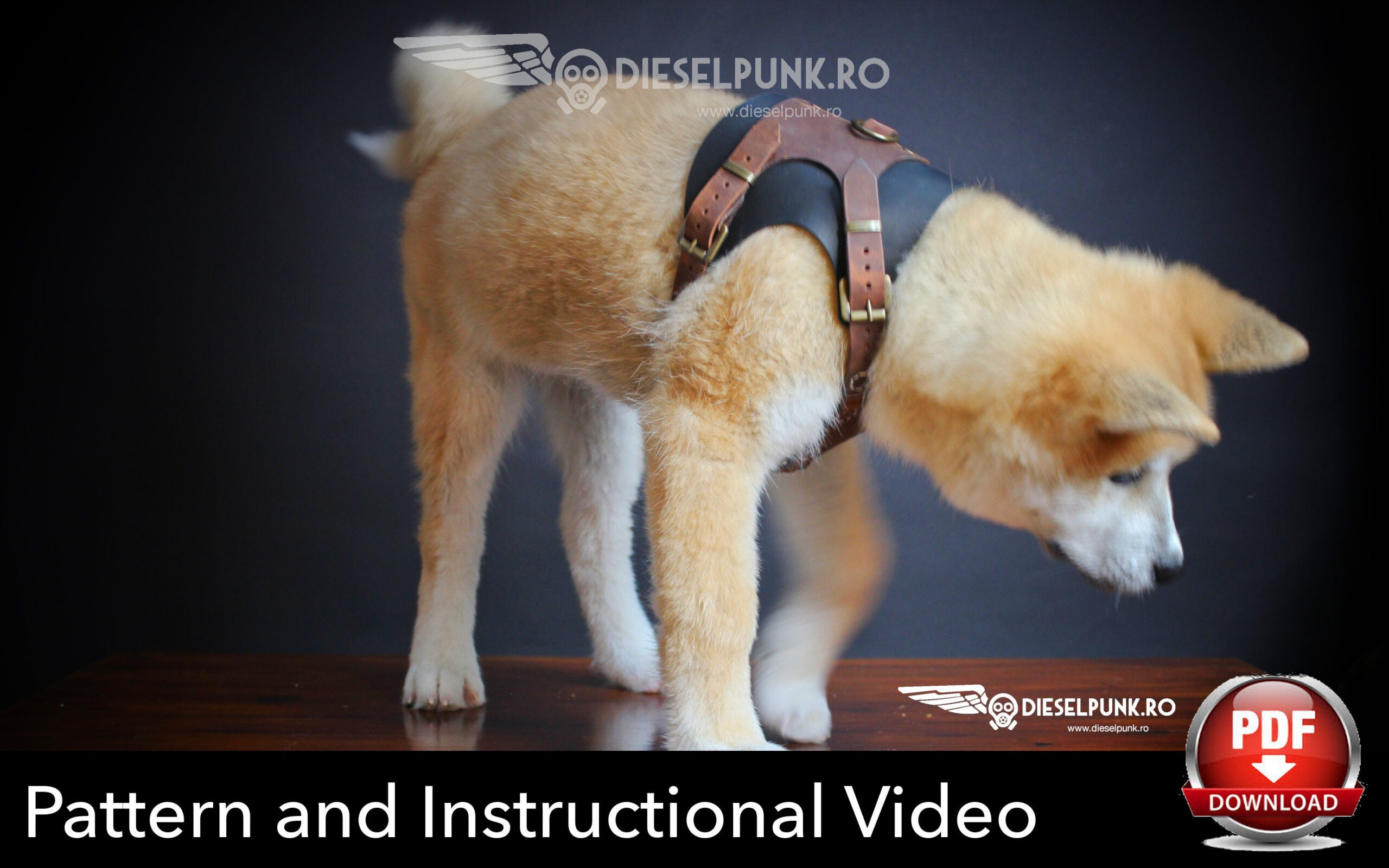 Dog Harness Pattern - Dog Harness Diy - Pdf Download with Downloadable Free Printable Dog Harness Pattern Free