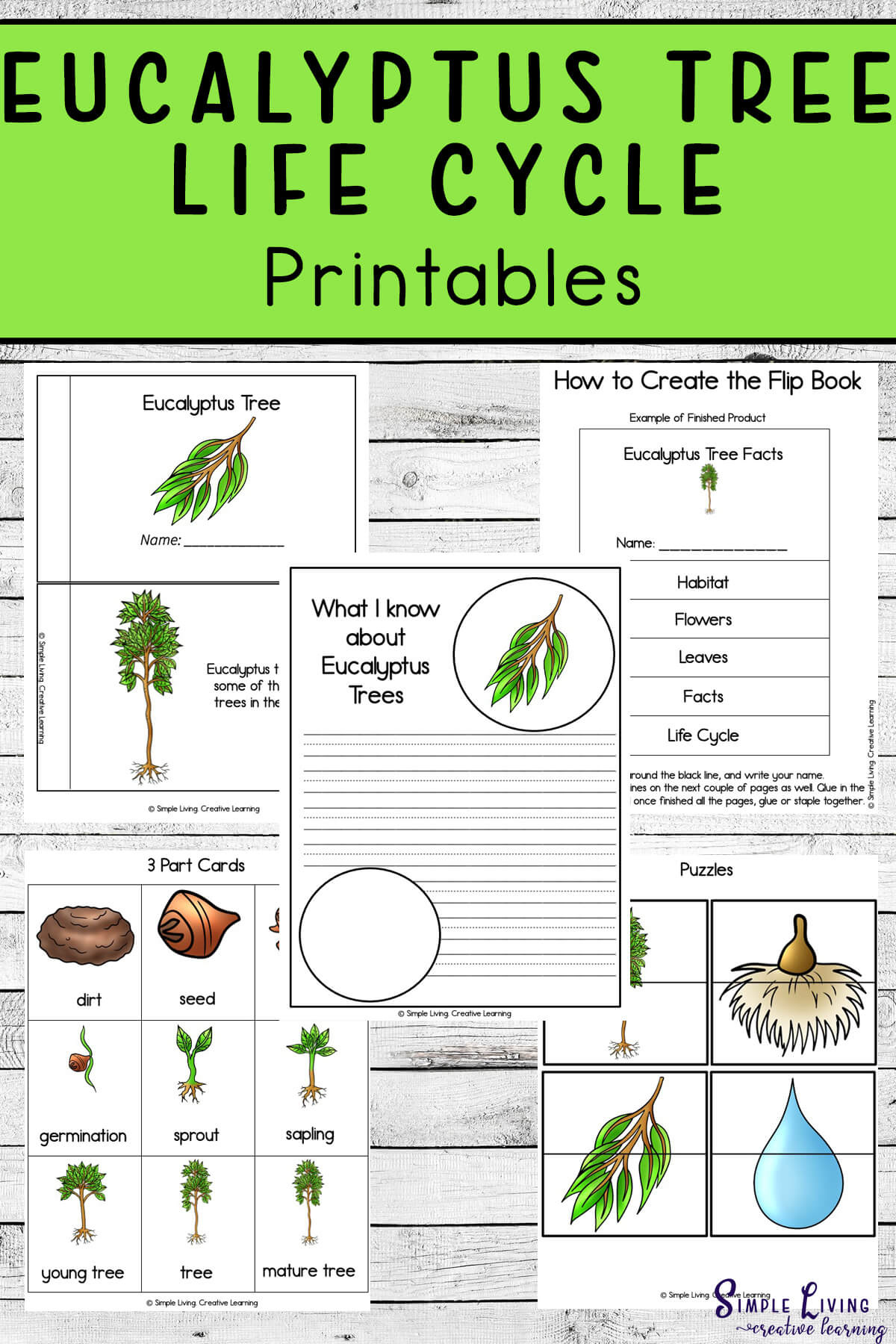 Eucalyptus Tree Life Cycle Printables - Simple Living. Creative for Printable Life Cycle of a Tree
