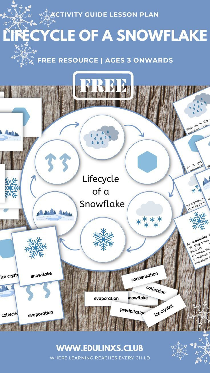 Free Montessori Lifecycle Of A Snowflake Printable inside Life Cycle of a Snowflake Free Printable