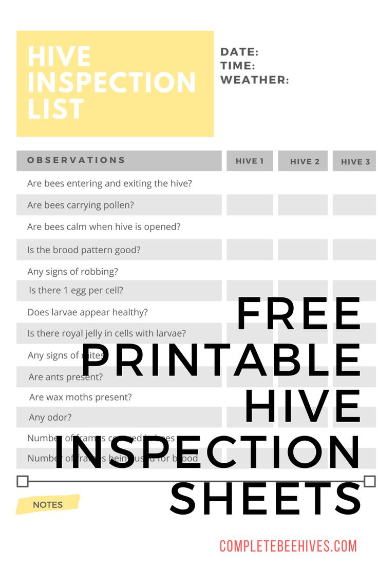 Free Printable Hive Inspection Sheets regarding Free Printable Hive Inspection Sheets